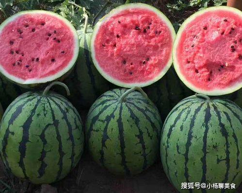 今日吃瓜今曰好亡饼干,揭秘网红零食背后的故事