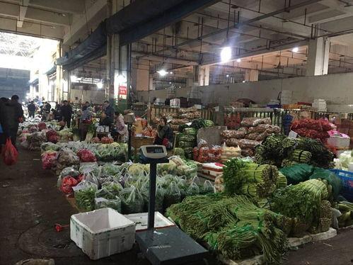广东毛瓜批发市场今日价格,行情波动，供需动态解析”
