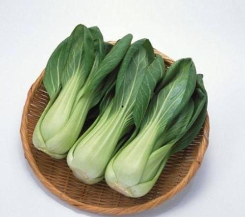 今日凉瓜菜价,市场行情一览