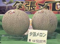 今日蜜瓜的价格,甜蜜来袭，品味夏日清新