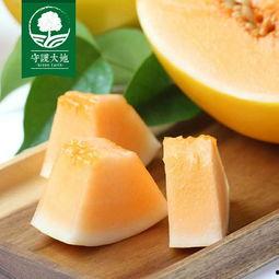 今日蜜瓜的价格,甜蜜来袭，品味夏日清新