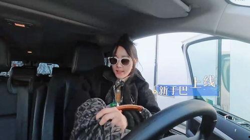 明星网红开车事件真相,一场意外的背后