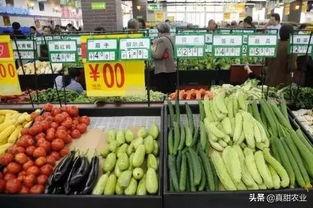 昆明王旗营今日菜价小圆瓜,小圆瓜价格走俏