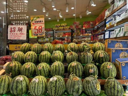 无籽麒麟瓜今日报价,新鲜上市，品质保证