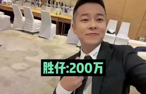 河南明星网红捐款名单,捐款名单彰显社会责任担当
