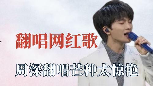 明星网红歌曲有哪些歌,明星网红热门歌曲大盘点