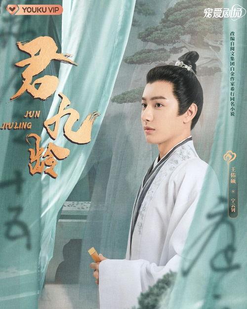 君九龄电视剧,宫廷风云，爱恨情仇