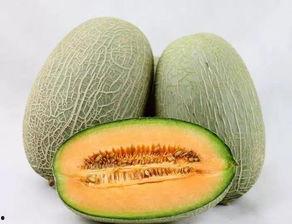 哈密瓜今日行情河南,今日价格走势分析”