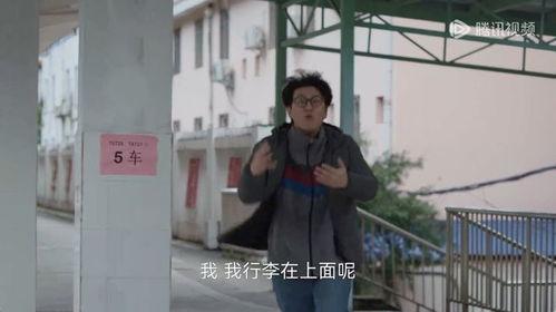 明星网红来柳州了吗视频,明星网红齐聚，精彩瞬间大揭秘！