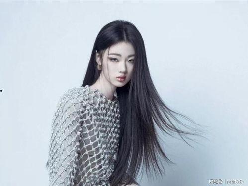 歌手明星网红排行榜